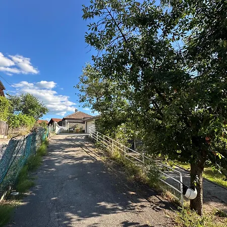 Gianni's * 塞拉耶佛